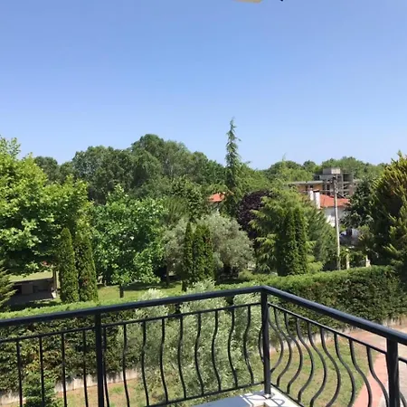 Dimeli 2
